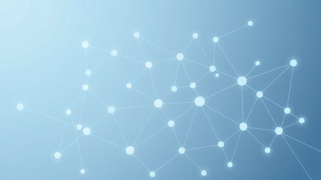 飞猫vs华为随身WiFi客服体系对比