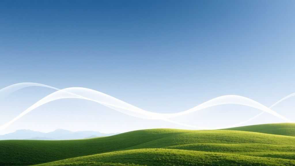 飞猫客服处理网络故障经典案例